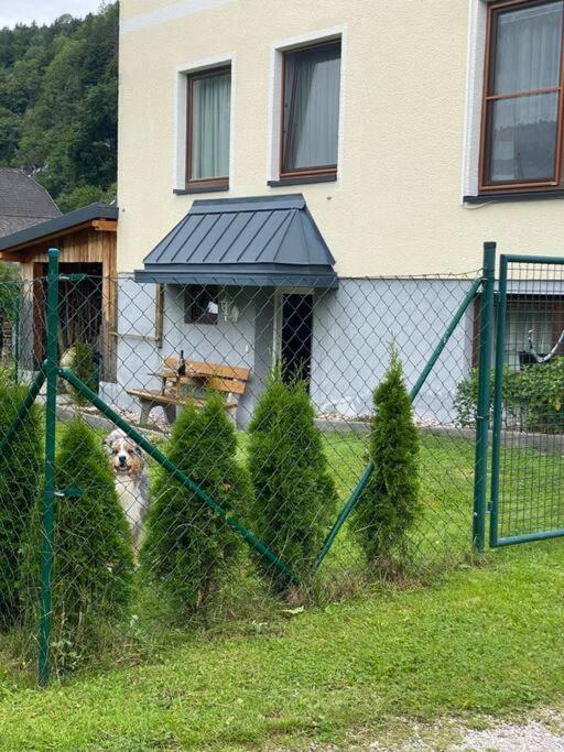Gemuetliche Kleine Wohnung Mit Garten Unterburg  Exterior foto