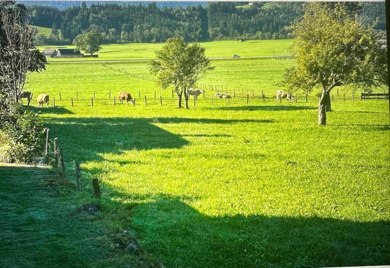 Gemuetliche Kleine Wohnung Mit Garten Unterburg  Exterior foto